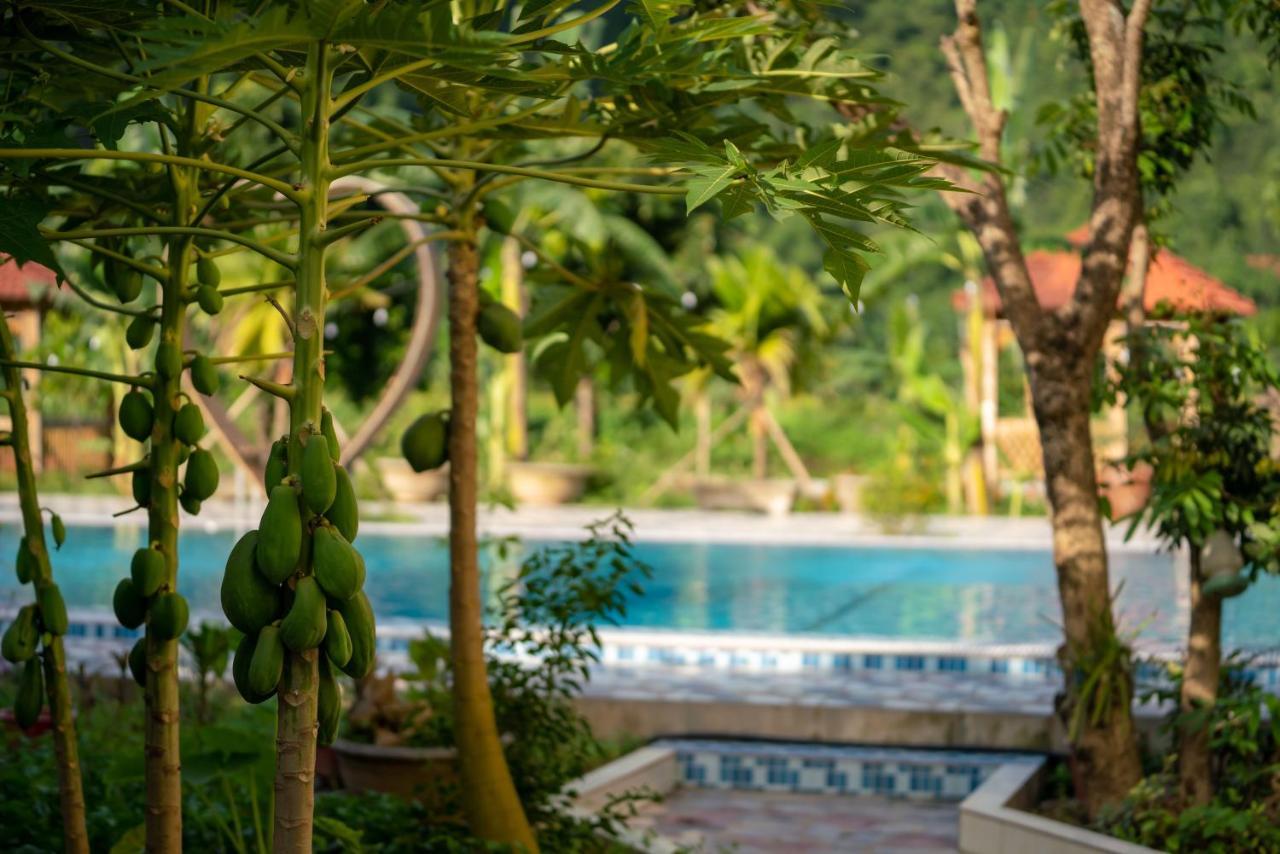 Tan Dinh Farmstay Ninh Binh Luaran gambar