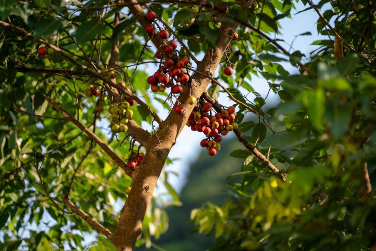 Tan Dinh Farmstay Ninh Binh Luaran gambar