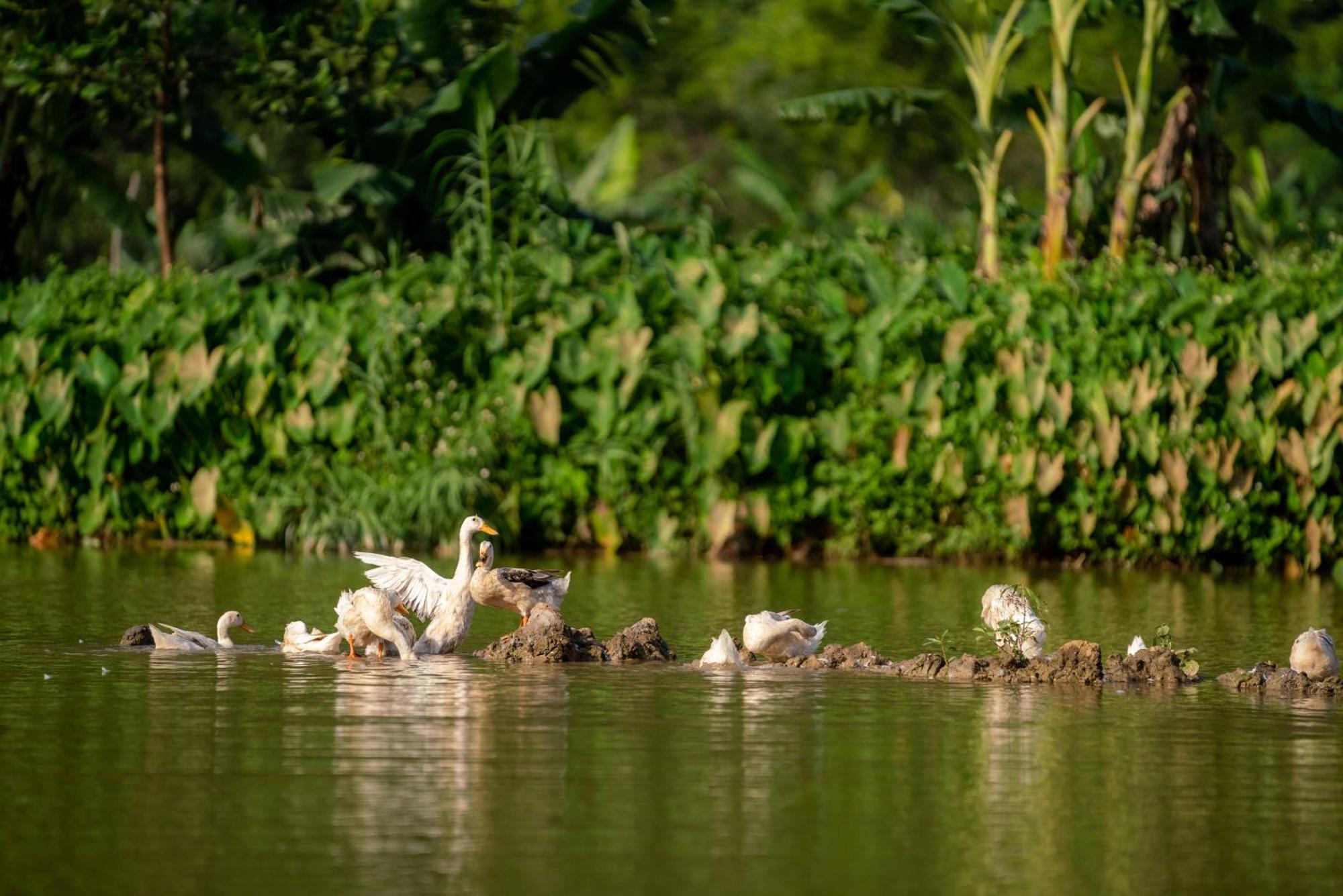 Tan Dinh Farmstay Ninh Binh Luaran gambar